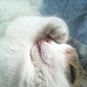 ���� �������, �����������, 46 ��� - ��������� 10 ����� 2014 � ������ ���� ����������