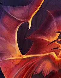 ����, �����-���������, 27 ���