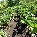 ��������� � ���� �� ����. �� ������� ���� ����������