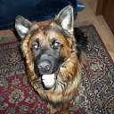 ���� ������, �����-��������� - ��������� 13 ����� 2014 � ������ ������ ��������