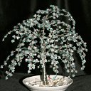 ���� �����, �����, 64 ���� - ��������� 20 ������� 2014 � ������ ���� ��������߻