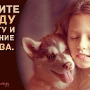 ���� ���������, ������, 57 ��� - ��������� 1 ������ 2014 � ������ �������