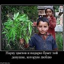 ���� �������, ������ - ��������� 8 ������� 2013 � ������ ���� ����������