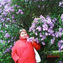 ����� �� ������� ���� ����������