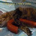 ���� �����, �������������-���������� - ��������� 2 ������� 2014 � ������ ������ ��������