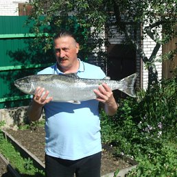 ���� �������, �����-���������, 66 ��� - ��������� 19 ������� 2013