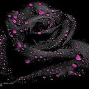 ���� �������, ���������, 50 ��� - ��������� 14 ������ 2013 � ������ ���� ����������