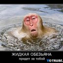 ���� ����, ������, 54 ���� - ��������� 19 ������� 2013 � ������ �������