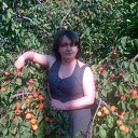 ���� ����, ����� - ��������� 23 ������� 2013 � ������ ���� ����������