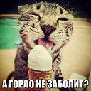 ���� ���, ���������, 23 ���� - ��������� 23 ������� 2013 � ������ ������ ��������