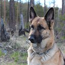 ���� �������, ������������, 48 ��� - ��������� 11 �������� 2013 � ������ ���� ����������