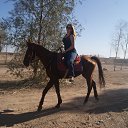 ���� ����, �����-���������, 48 ��� - ��������� 11 ������� 2014 � ������ ���� ����������