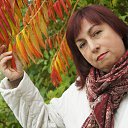 ���� �����, �����������, 58 ��� - ��������� 20 ������� 2013 � ������ ���� ����������