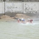     .      82        .    ,     .        .  -    ,  ,    .       ,          .   ,  2013