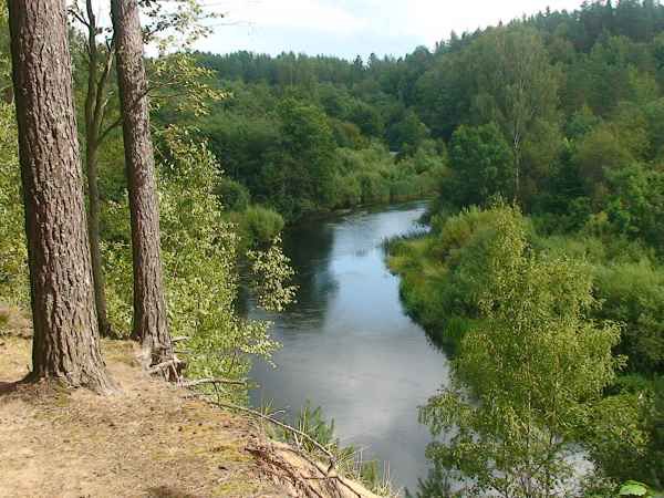 Глухарево