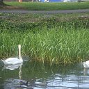 ���� ������, �����-���������, 61 ��� - ��������� 10 ����� 2014 � ������ ���������, ������ 2010�