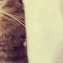 ���� ����, ������, 56 ��� - ��������� 11 ������� 2013 � ������ ������ ��������