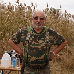 ������ ����� ������� 2013