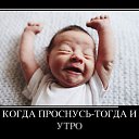 ���� �����, ������, 39 ��� - ��������� 20 ������� 2013