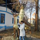 ���� ���������, ������, 52 ���� - ��������� 7 ������� 2013 � ������ ���� ����������