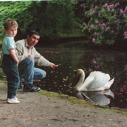 �����, �����-���������, 62 ����