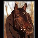 ���� ���������, ����������� - ��������� 31 ������� 2013 � ������ ������ - �����...�