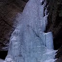 ���� �����, ��������, 42 ���� - ��������� 15 ������� 2014 � ������ ���� ����������