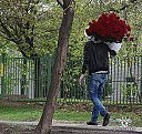 ���� Maxsim, ����������, 34 ���� - ��������� 3 ������ 2014 � ������ ���� ����������