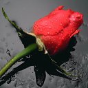 ���� Zigzag, �����, 38 ��� - ��������� 20 ������� 2013 � ������ ���������!�