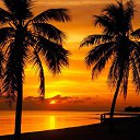 ���� �������, ����, 50 ��� - ��������� 8 ������� 2014 � ������ �44-1�