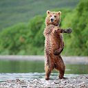 ���� ������, �������, 53 ���� - ��������� 21 ������� 2013 � ������ ���� ������.�
