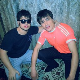 ���� �����, ���������, 34 ���� - ��������� 8 ������� 2013