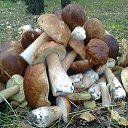 ���� ���������- ���� �������� !!, ������ - ��������� 19 �������� 2013 � ������ ������ ����� !!! 18.09.2013 � !!!�