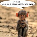 ���� ����, ��������, 60 ��� - ��������� 27 ������ 2013 � ������ �����������