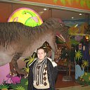 ���� ����, ������, 37 ��� - ��������� 8 ������� 2013 � ������ ���� ����������