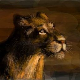 ���������, ��������, 51 ���