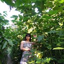 ���� ������, ����-���������, 50 ��� - ��������� 29 ������� 2013 � ������ ���� ����������