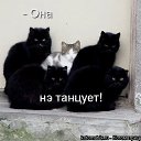 ���� �����, ������, 55 ��� - ��������� 12 ����� 2014 � ������ ������ ��������