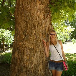 �����, ���������, 41 ���