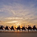 ���� �����, ���������, 66 ��� - ��������� 6 ������ 2013 � ������ ���� ����������