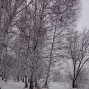 ���� ����, ����������� - ��������� 28 ������� 2013 � ������ ������ ��������