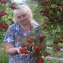 ���� �������, ����������, 64 ���� - ��������� 15 �������� 2013 � ������ ���� ����������