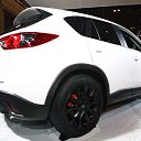 ���� ���������, ������� ������, 39 ��� - ��������� 8 ������� 2014 � ������ ���� ����������