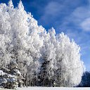 ���� �������, ��������, 45 ��� - ��������� 10 �������� 2013