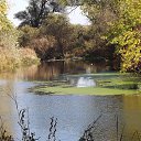 ���� ��������, ��������, 80 ��� - ��������� 1 ������� 2014 � ������ ���� ���������Ȼ