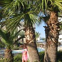 ���� �� ������� ���� ����������