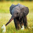 ���� Anzhelika, ������, 56 ��� - ��������� 10 ������� 2013 � ������ �� ��� � ����