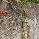 ���� ����, ����, 43 ���� - ��������� 25 ������� 2013 � ������ ����������