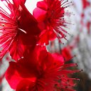 ���� ������, �����-���������, 61 ��� - ��������� 10 ����� 2014 � ������ ��������� ������, ������ 2012�