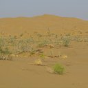 ���� �����, �������, 68 ��� - ��������� 29 ������ 2013 � ������ ���������